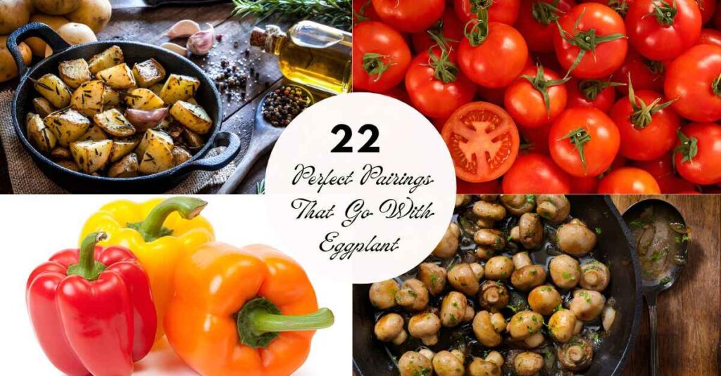 What Vegetable Goes Well with Eggplant– 22 Perfect Pairings