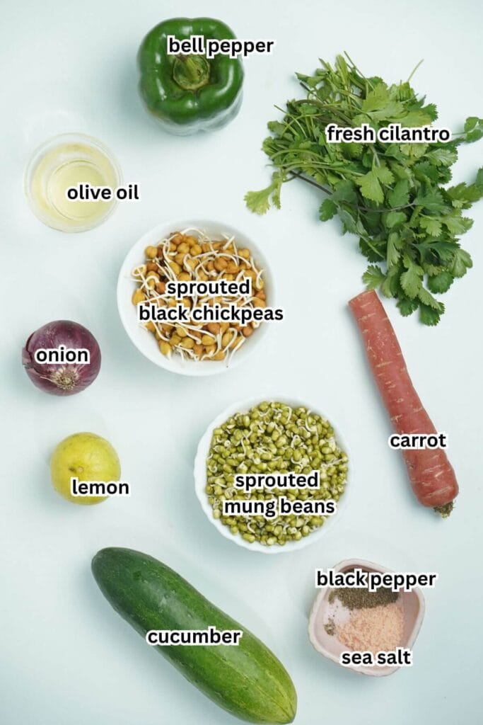 Ingredients for Fresh Sprouted Lentil and Chickpea Salad